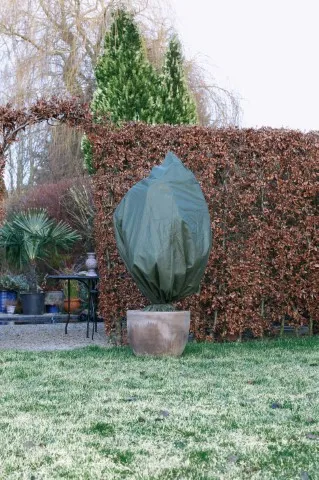 BESCHERMHOES PLANTEN MET KOORD GROEN Ø50 X 100 CM  SET 3 STUKS