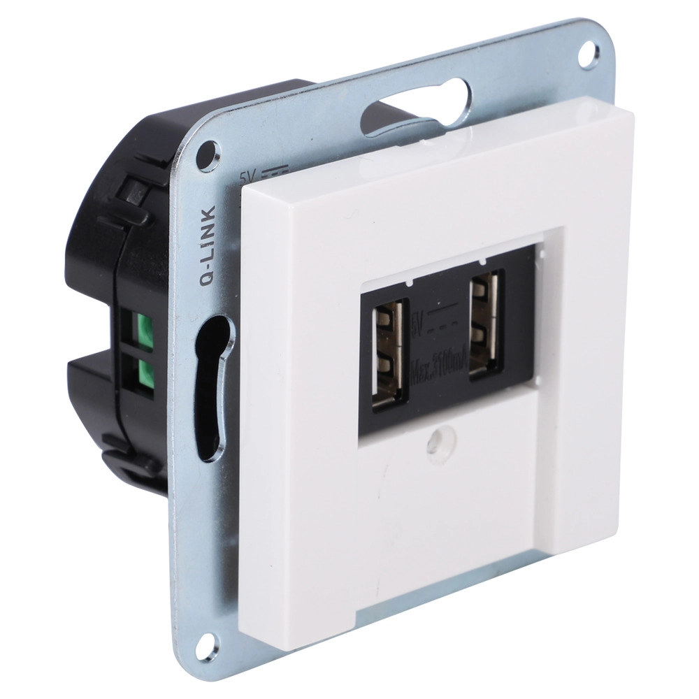 Contactdoos inbouw USB 2-voudig 5 volt  3,1 A t.b.v. Gira System 55 polarwit