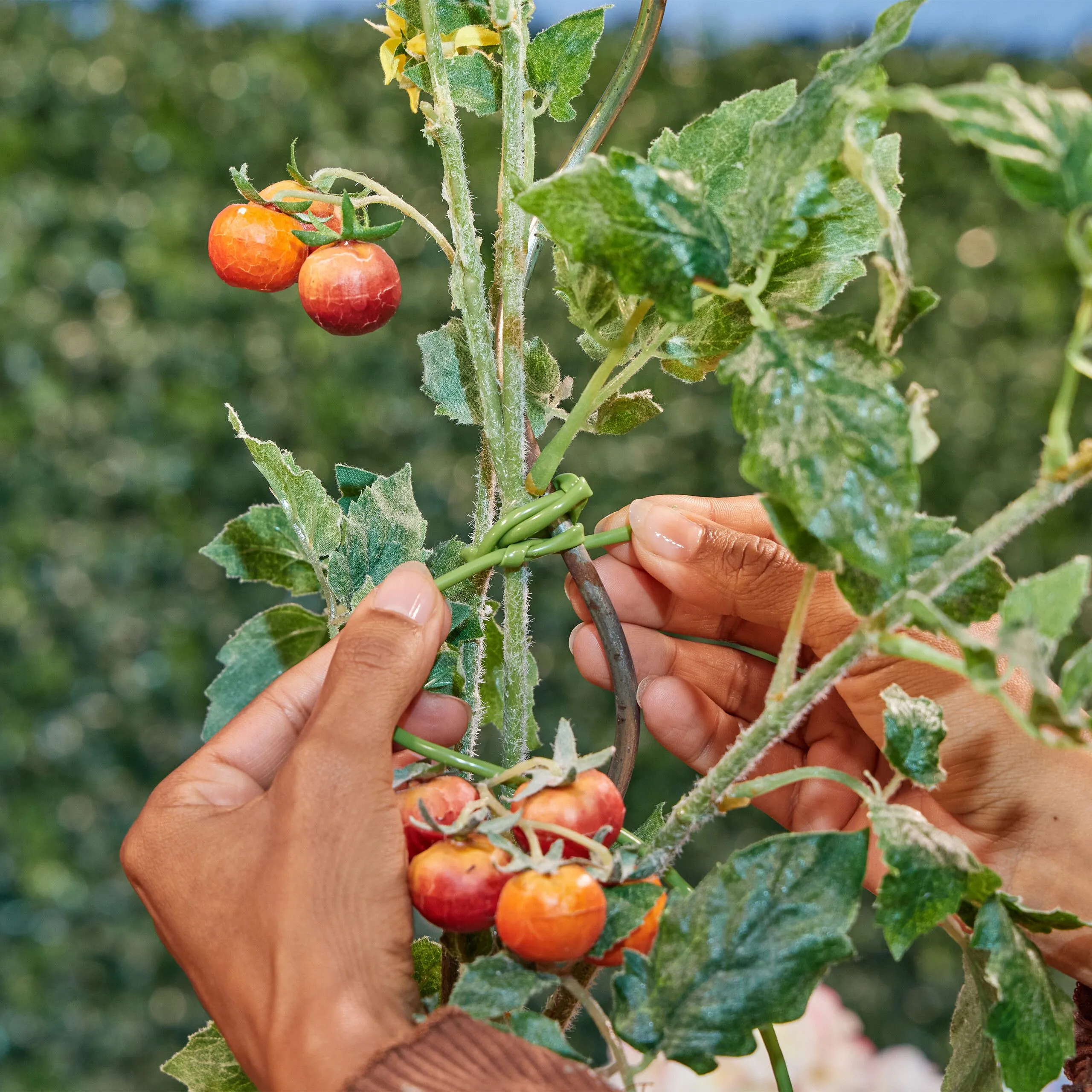 Groene bindbuis voor planten 50 m