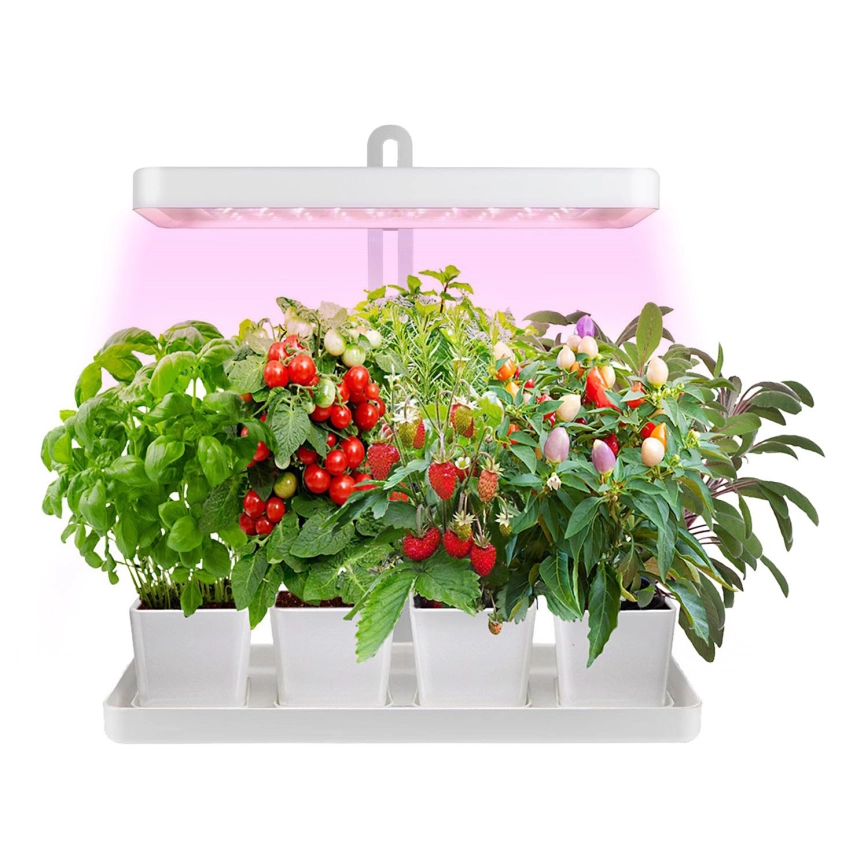 LED Binnenlamp voor het kweken van planten LED/20W/5V 3500K