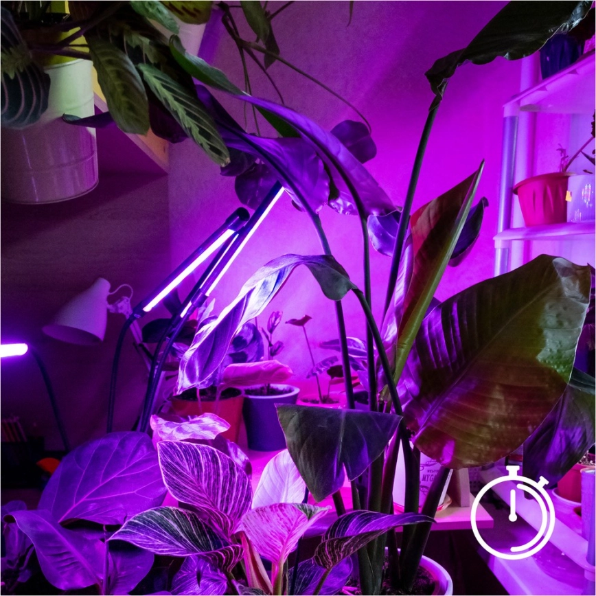 LED Dimbaar flexibel Staande lamp voor het kweken van planten VITARO 4xLED/7,5W/230V zwart