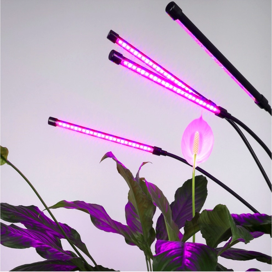 LED Dimbaar flexibel Staande lamp voor het kweken van planten VITARO 4xLED/7,5W/230V zwart