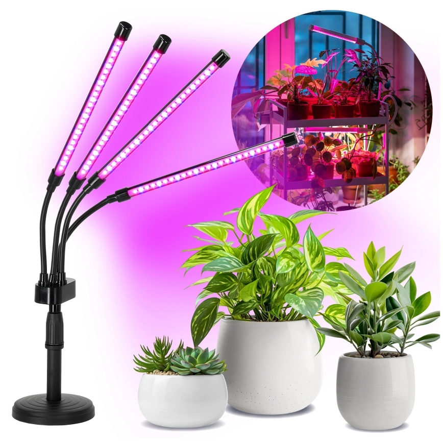 LED Dimbaar flexibel tafellamp voor het kweken van planten VITARO 4xLED/10W/230V zwart
