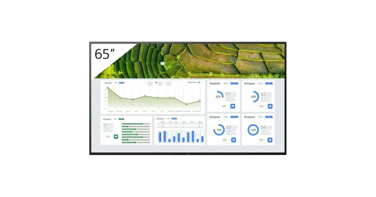 SONY  FW65BZ30L 65