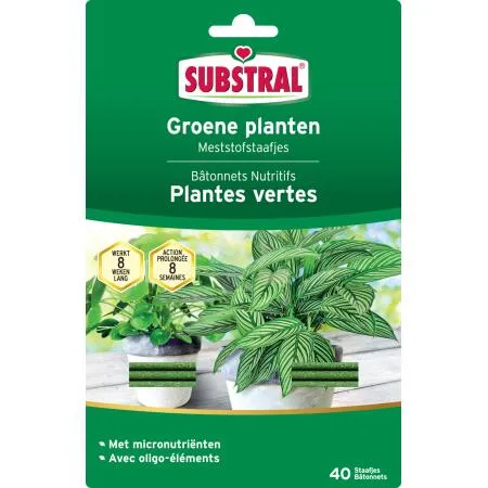 SUBSTRAL MESTSTOFSTAAFJES VOOR GROENE PLANTEN  SET VAN 40 STUKS