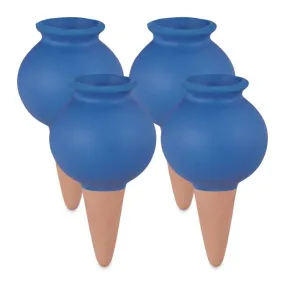 Waterdruppelaar planten set van 4